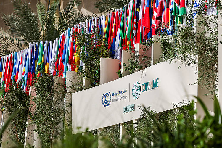 WWF califica de “desastroso” el último borrador de la COP28 y denuncia que retrocede en ambición