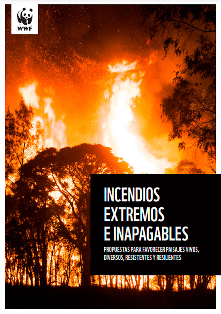 Informe sobre incendios forestales 2023. Incendios extremos e inapagables