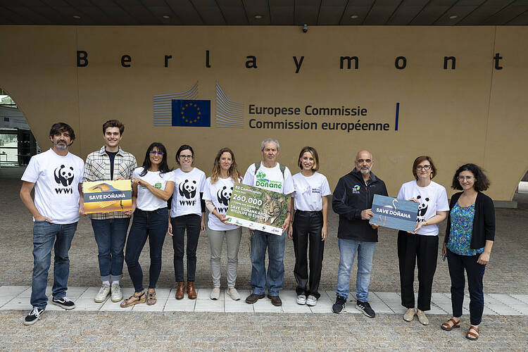 Entregamos más de 260.000 firmas en la UE contra la ley que amenaza Doñana