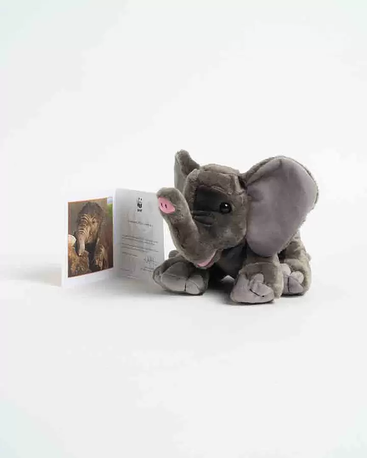 Adopta peluche elefante 