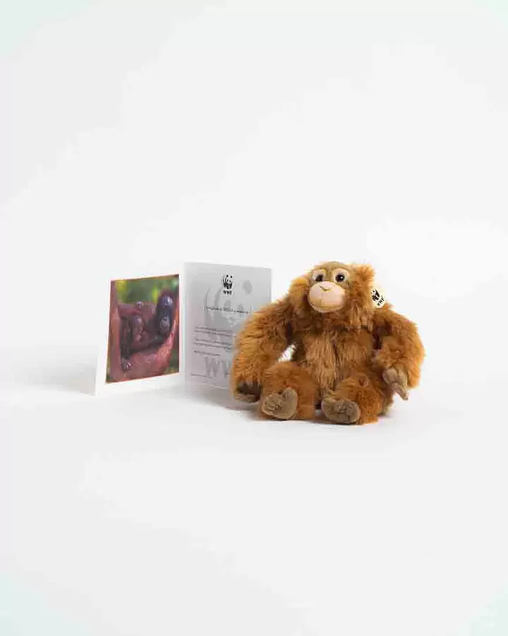 Adopta peluche orangután