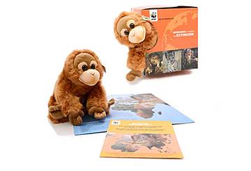 Adopta orangután 