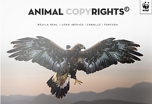 Animal Copyrights