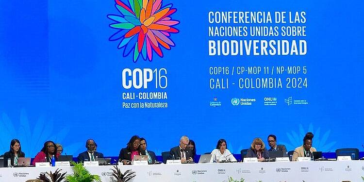 COP16: Pedimos a las naciones que trabajen para generar confianza y avanzar en acciones cruciales sobre biodiversidad