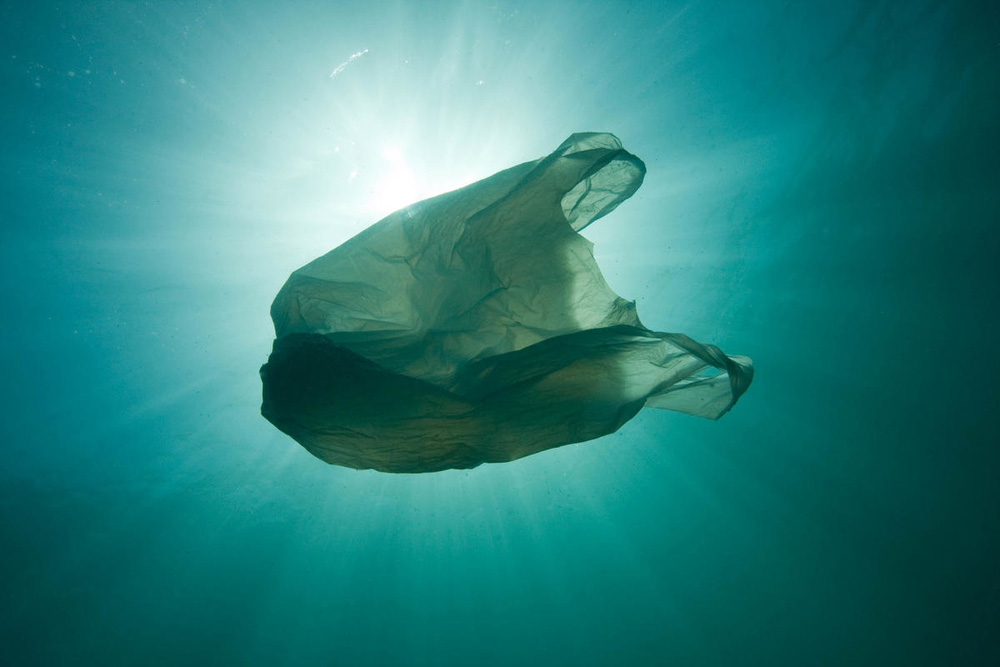 Bolsa de plástico flotando en el mar (contaminación marina por plásticos)