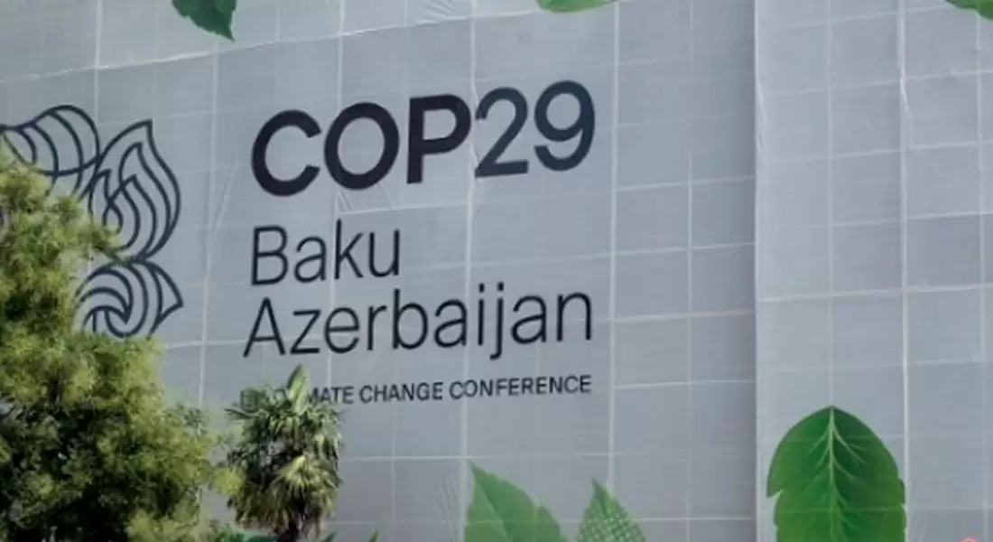 COP29: El texto sobre financiación del clima es completamente inadecuado