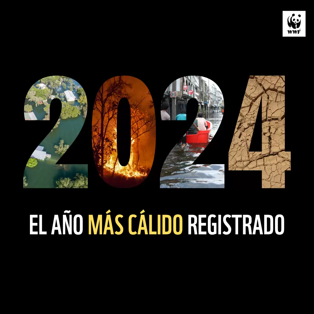 2024 es el año más cálido jamás registrado