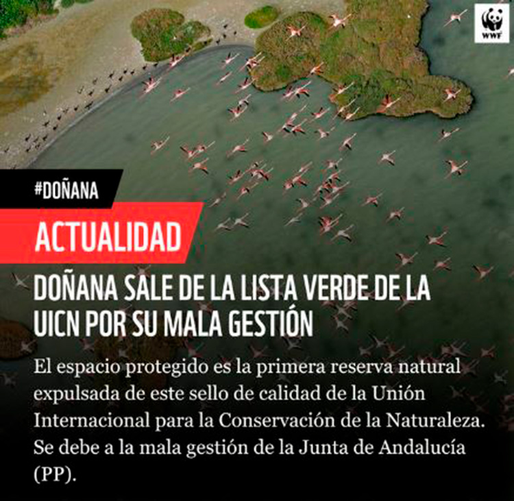 El Parque Nacional de Doñana sale de la lista verde internacional de IUCN