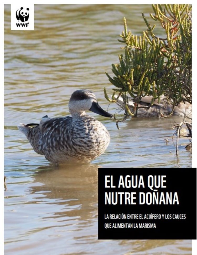 La sobreexplotación del acuífero de Doñana sobrepasa ampliamente los límites viables para su recuperación
