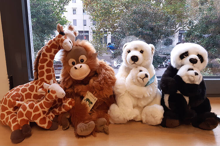 Familias Peluche de animales salvajes WWF (tienda panda) 