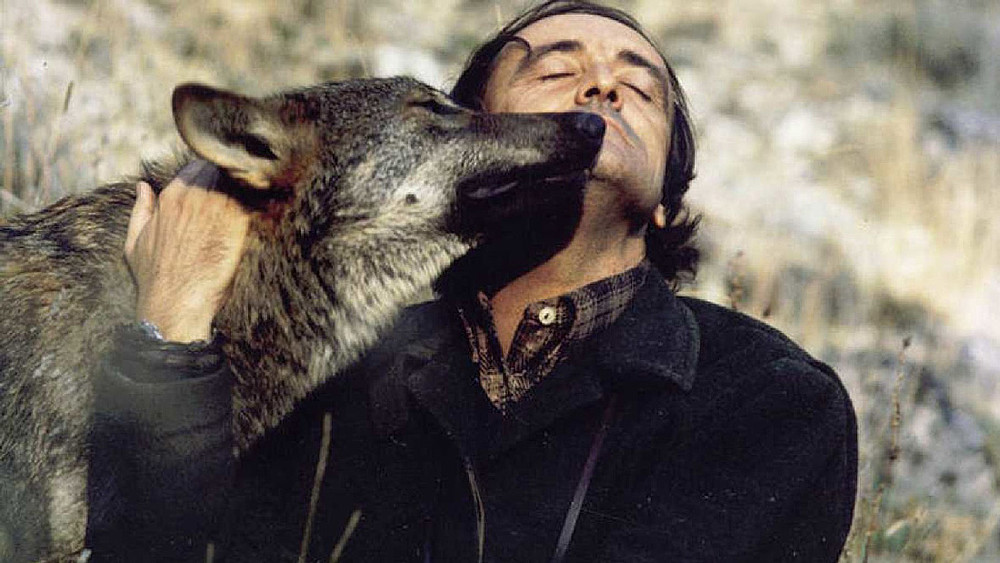 Félix Rodríguez de la Fuente, el amigo de los lobos
