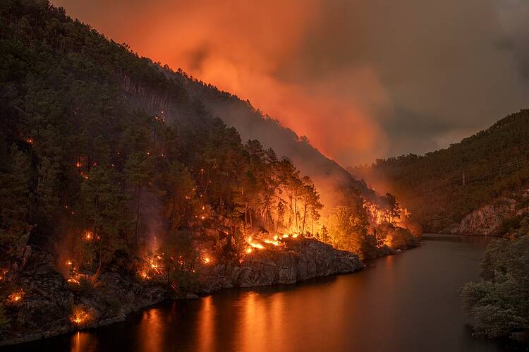 Reclamamos incrementar los esfuerzos en investigación y aplicación de penas a los causantes de incendios forestales