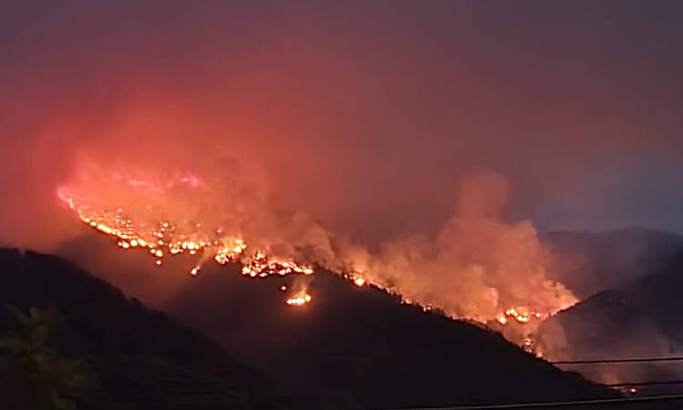 Incendio en Sierra Bermeja septiembre de 2021 (Málaga). Incendios de sexta generación. Una nueva generación de incendios arrasa los bosques del planeta 