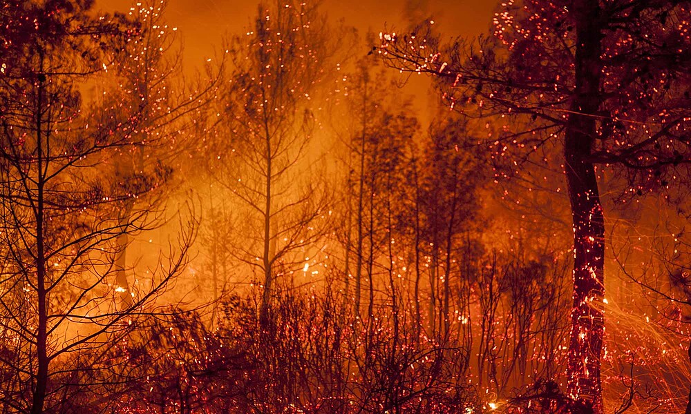 incendios forestalres ©General Directorate of Forestry Turkey (OGM) Photographer Aykut İnce (1)