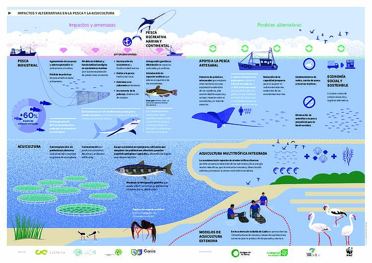 Infografía Biodiversidad Economía y Empleo 