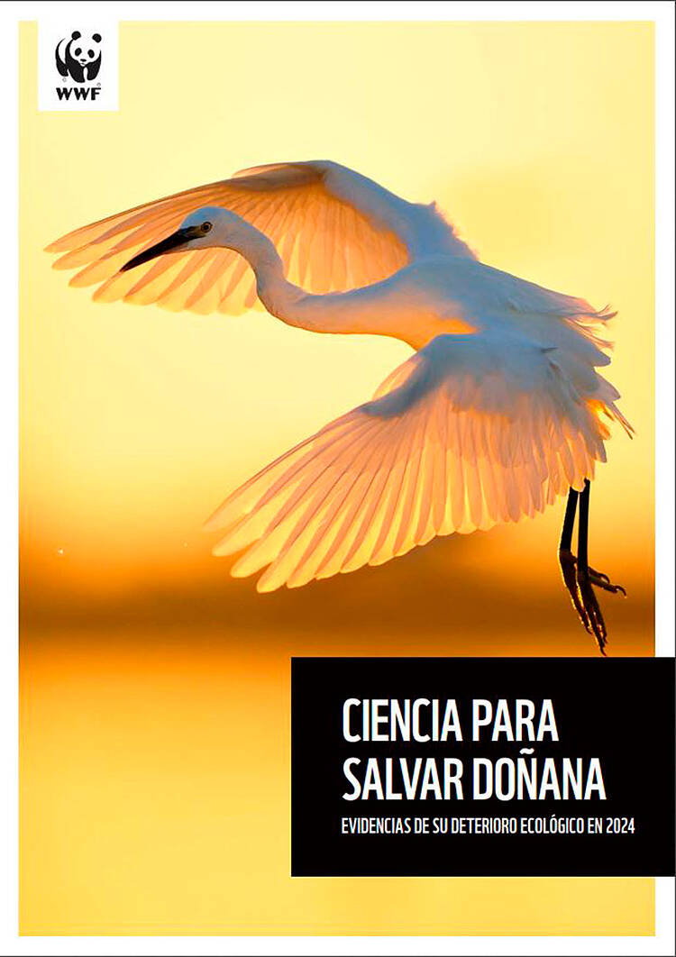 Informe: cinco evidencias científicas del colapso ecológico de Doñana