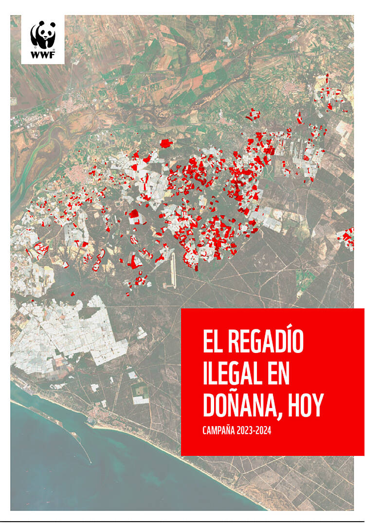 El regadío ilegal en Doñana hoy
