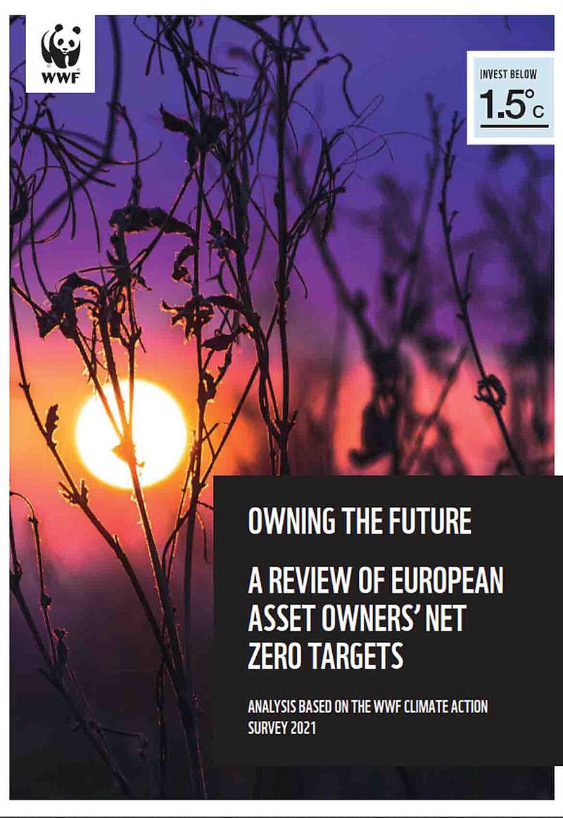 Ser dueño del futuro. Una revisión de los objetivos cero neto de los inversores europeos