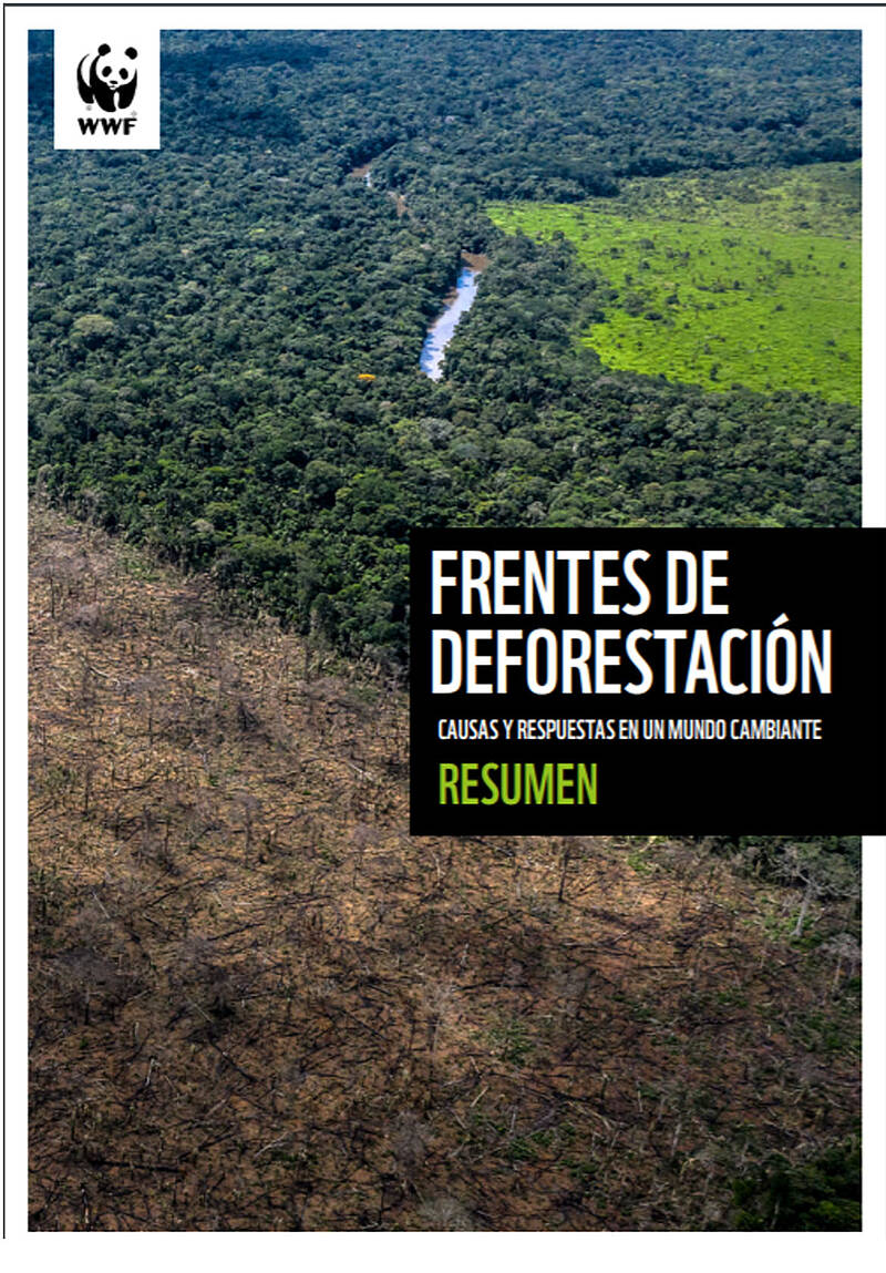 Informe Frentes de Deforestación