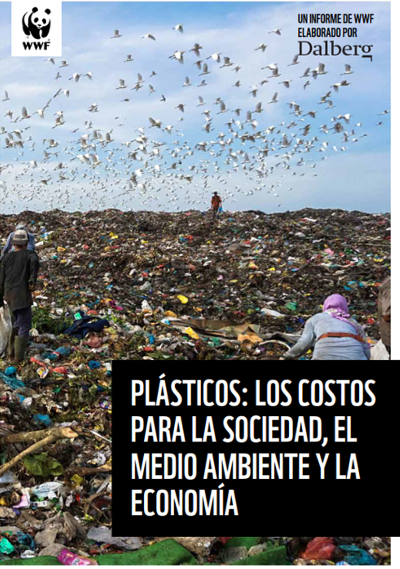 Informe Plásticos coste para la economia, sociedad y medio ambiente