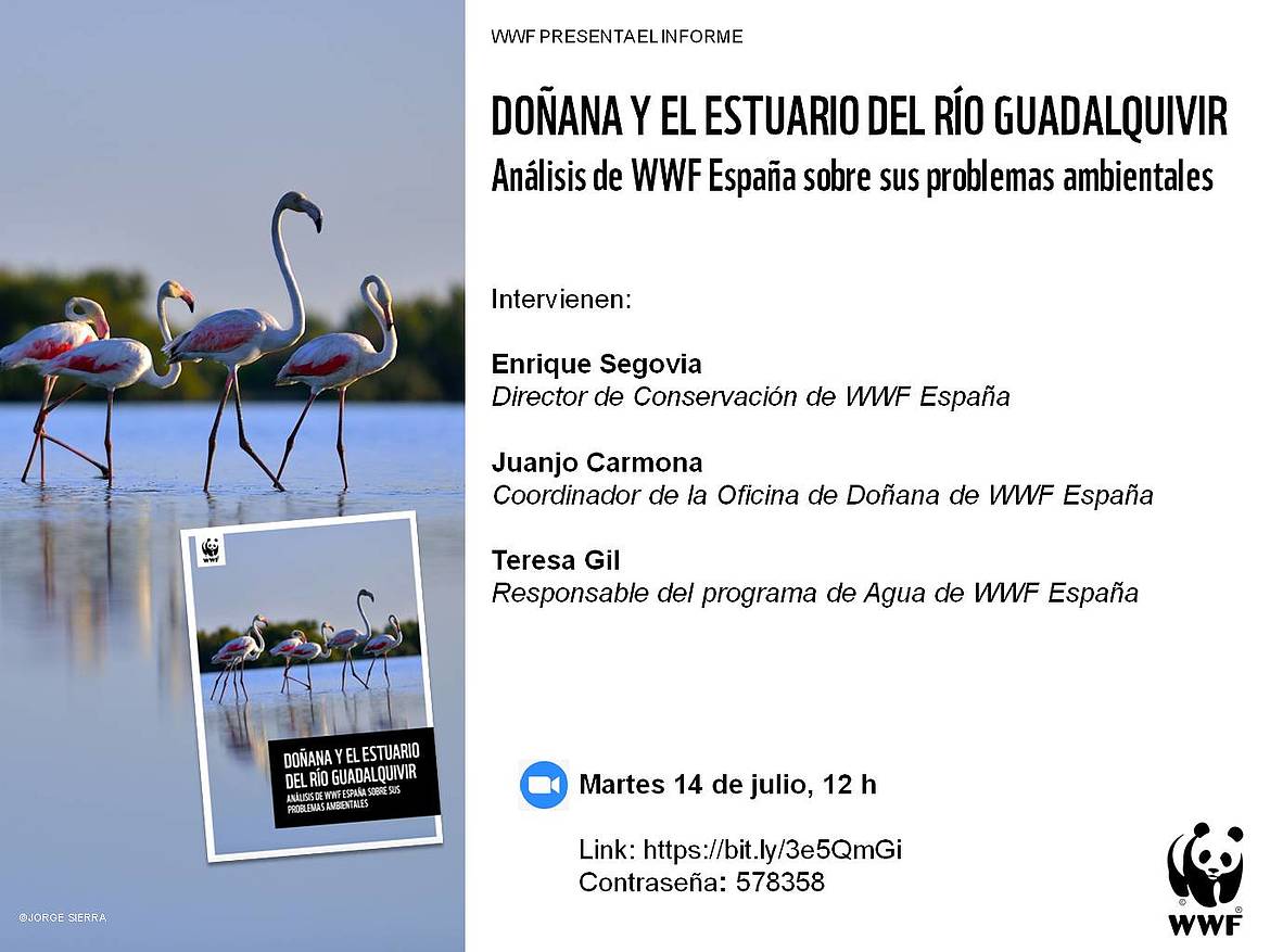 Evento digital Problemas ambientales Doñana 