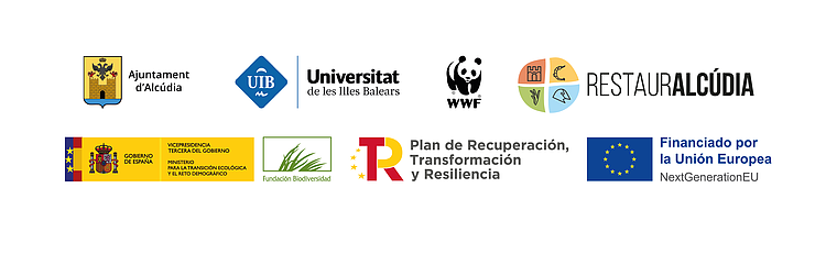 Logos RestauraAlcudía Fundación Biodiversidad del Ministerio para la Transición Ecológica y el Reto Demográfico, en el marco del Plan de Recuperación, Transformación y Resiliencia – Next Generation EU; Ajuntament d’Alcúdia, WWF, Universitat de les Illes Balears. 