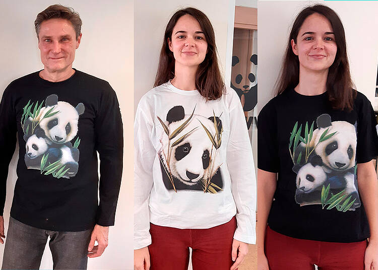 Modelos camisetas bambú y panda 