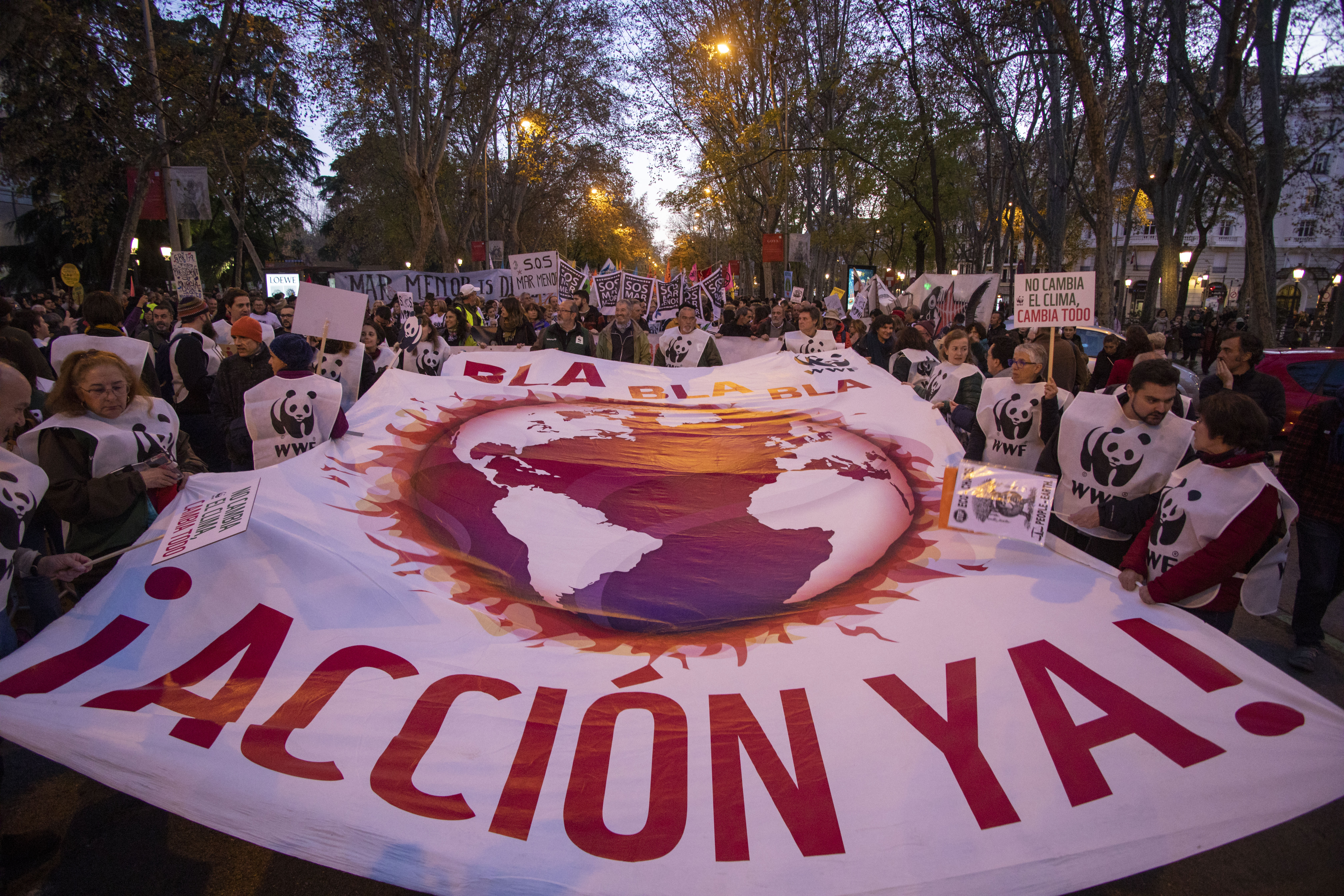 Wwf Inicios Nuestro trabajo: Trabajamos para conservar el planeta | WWF España
