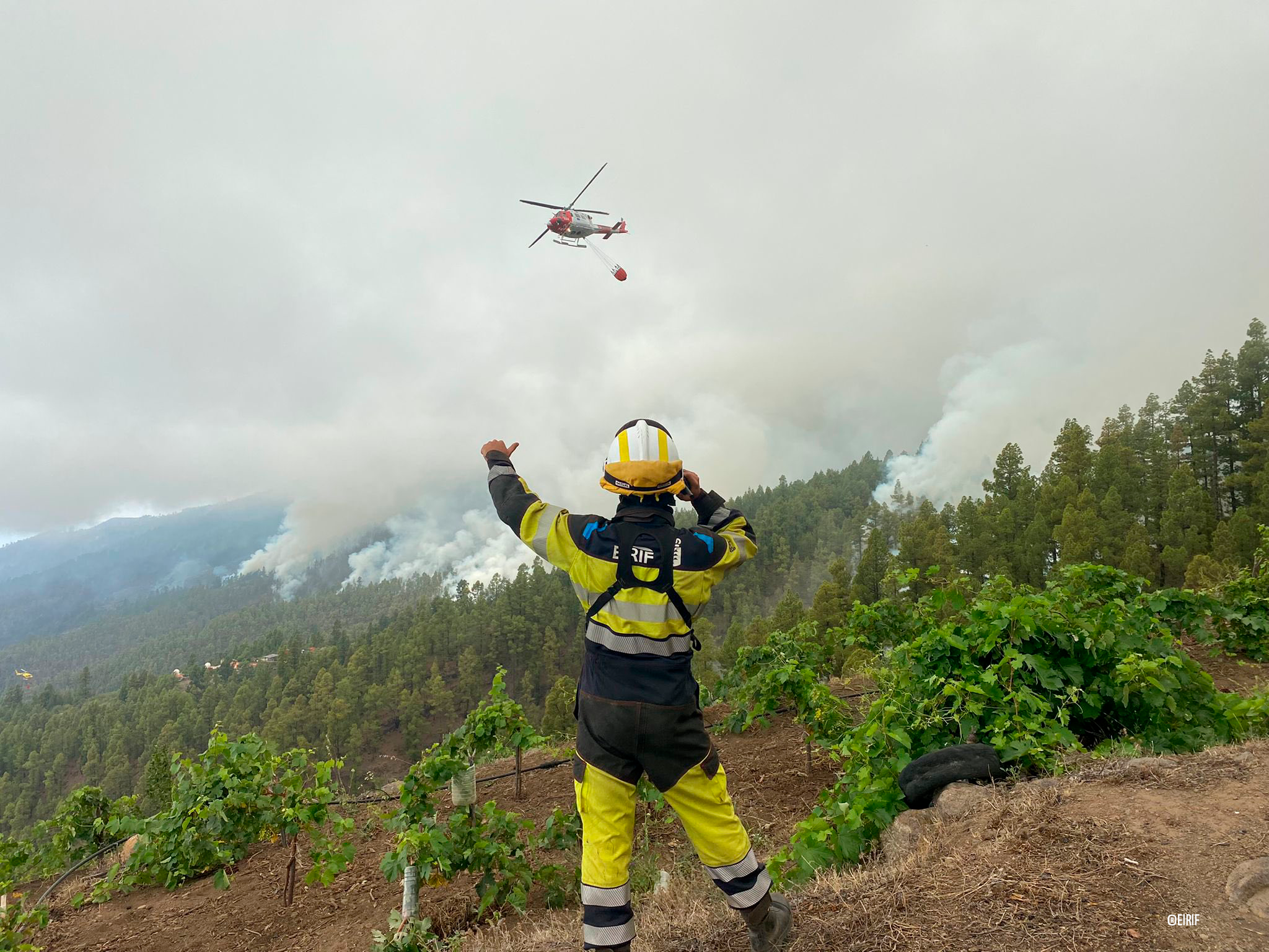 Ante el grave incendio en la isla de La Palma, alertamos de los riesgos ...