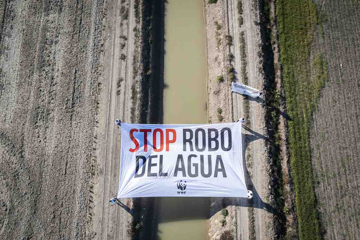 denunciamos el robo del agua por la agricultura ilegal en donana 1