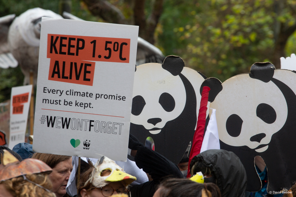 Wwf Inicios COP28: El acuerdo sobre el Fondo de Pérdidas y Daños marca un comienzo ...