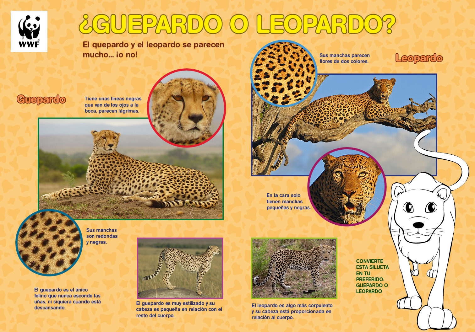 Imagen Abstracta Del Animal Guepardo