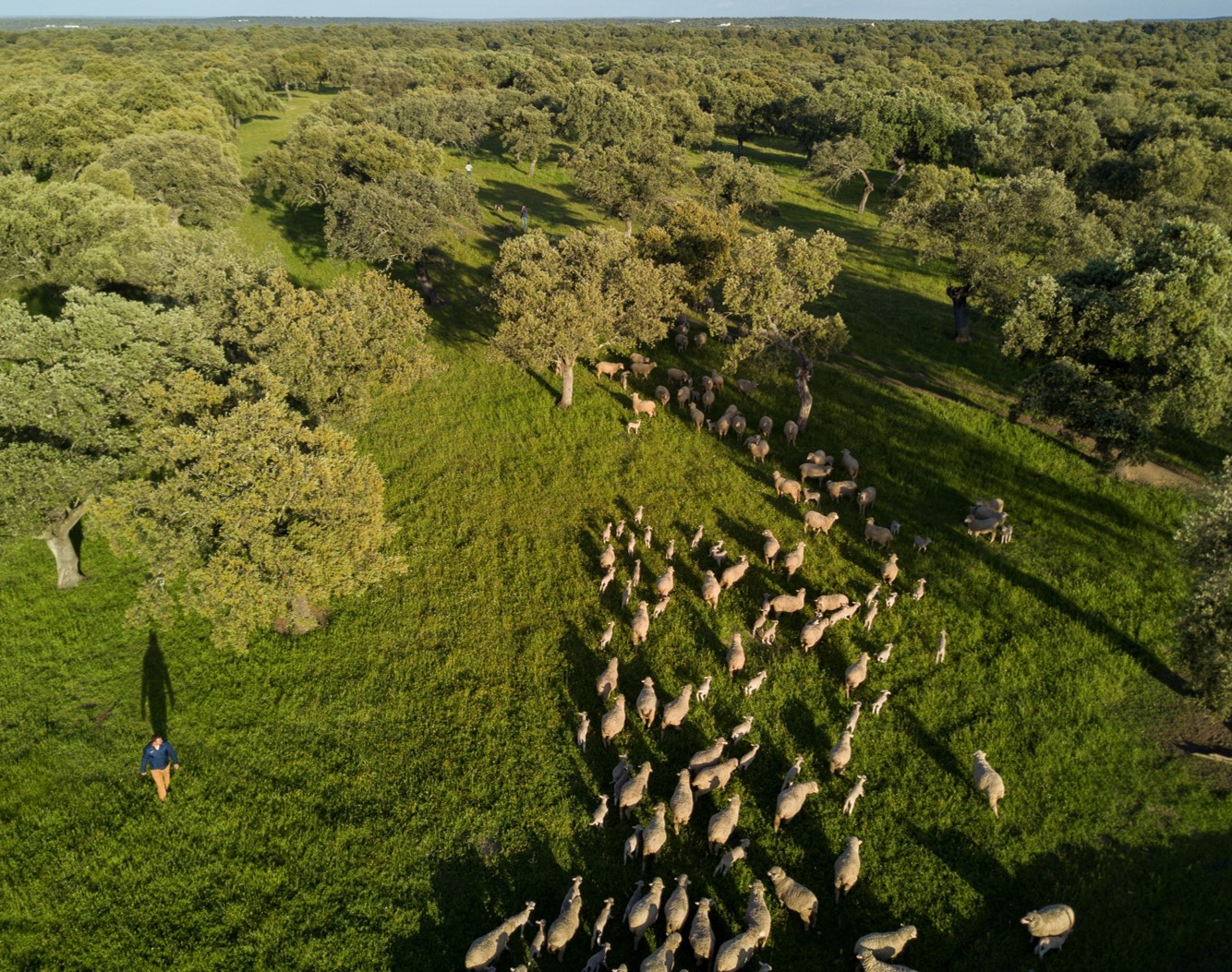 Lamentamos que el plan estratégico de la agricultura europea no fomente
