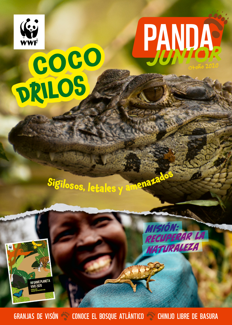 Panda Junior 42 | WWF España