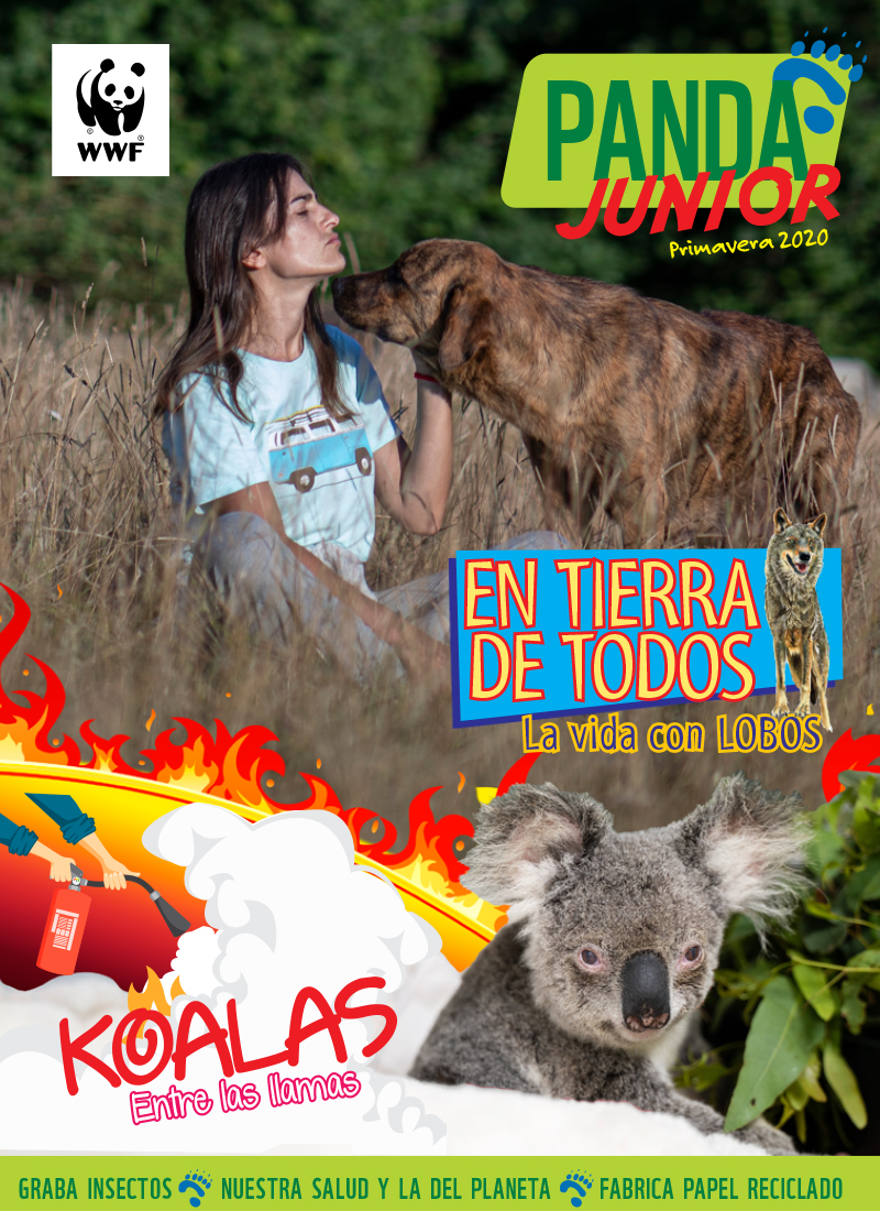 Panda Jr 40 | WWF España