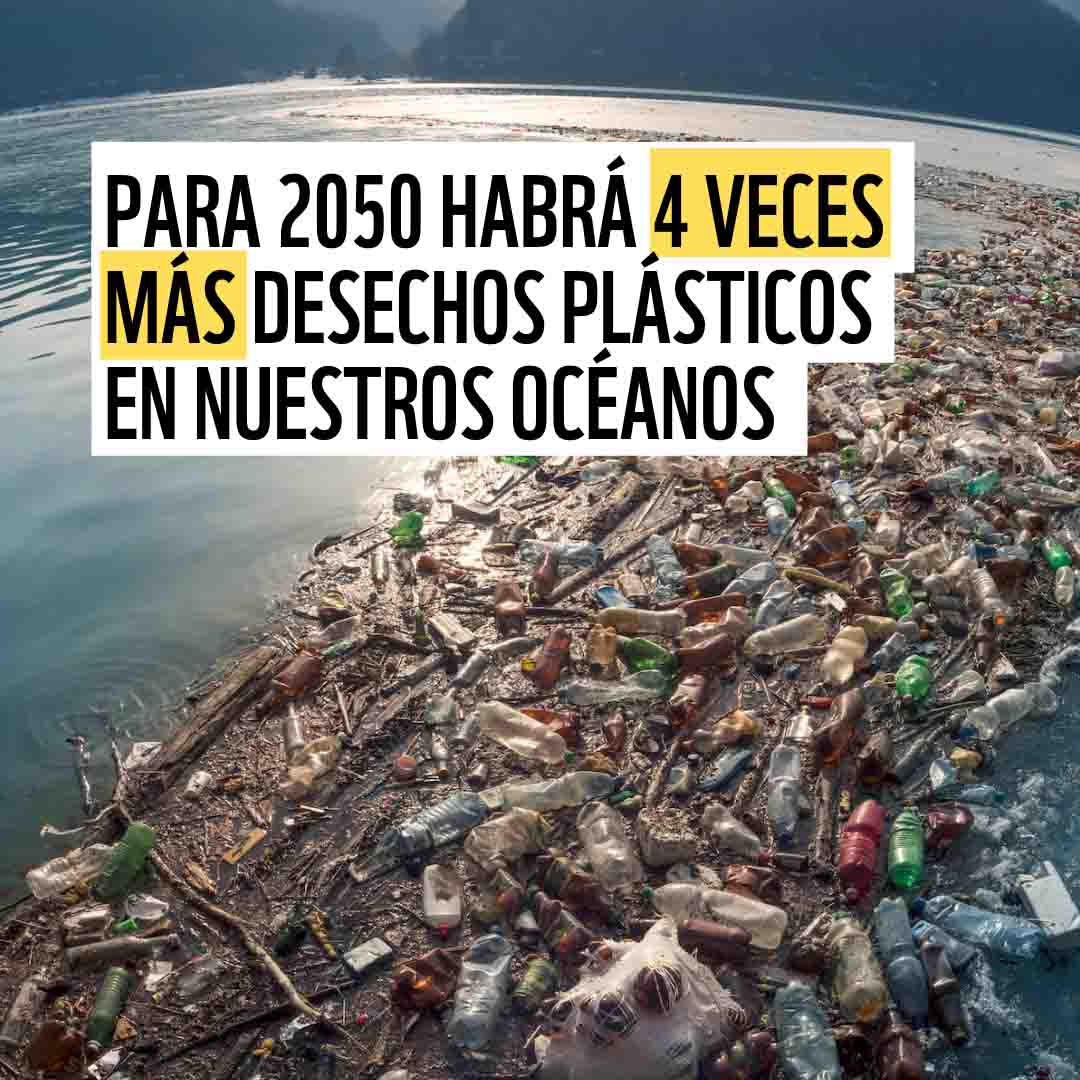 Mayor Conquistador Ser La contaminación por plásticos en el océano se cuadruplicará al 2050 | WWF  España