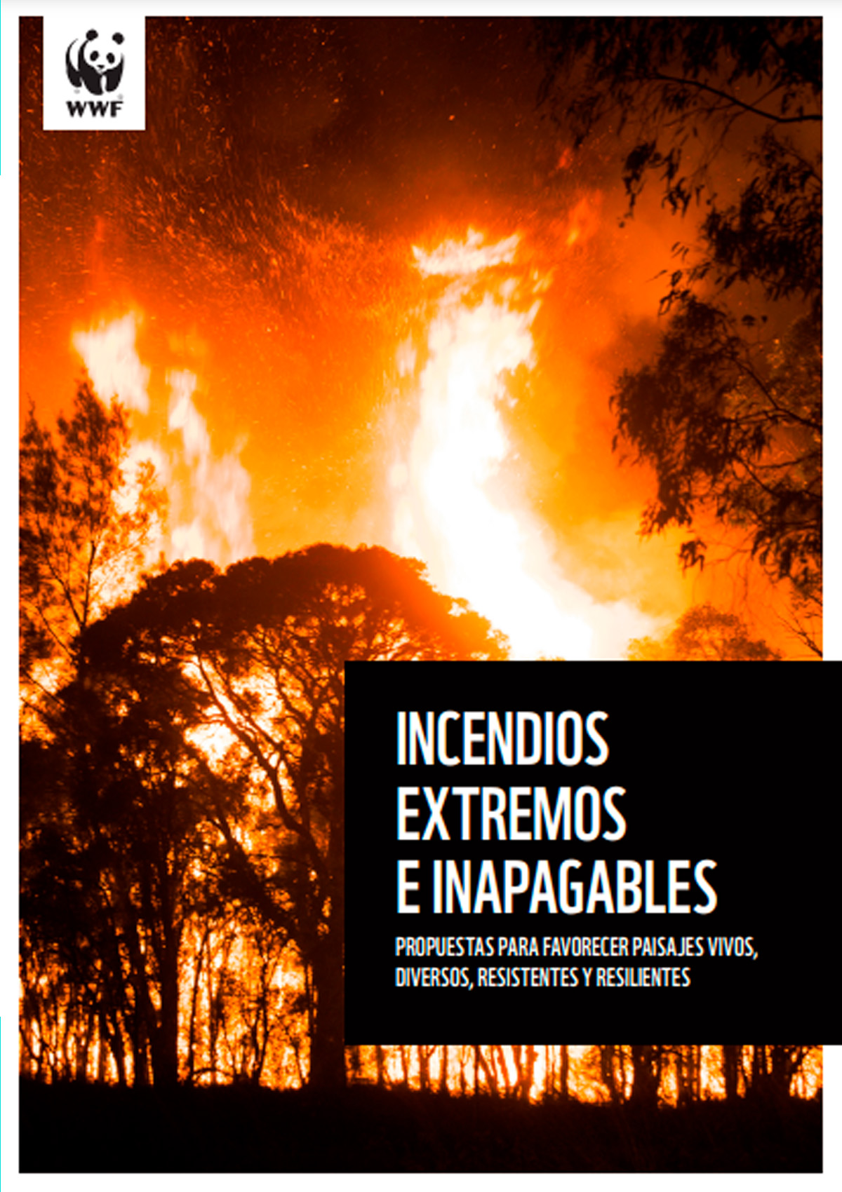 Informe Sobre Incendios Forestales 2023 Incendios Extremos E Inapagables Wwf España 3082