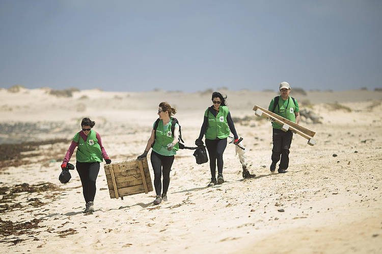 Actividades de voluntariado de fines de semana en Chinijo 2025