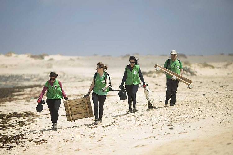 Voluntarios y voluntarias de WWF recogen basuras en las costas del Archjipiélago de Chinijo 