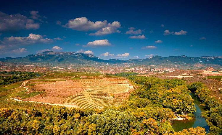 Paisaje viñedos (paisaje mosaico) 