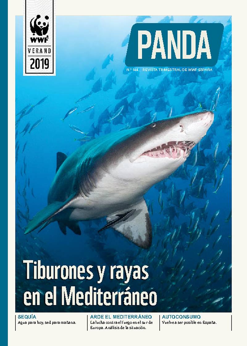 Revista Panda Número 144 Wwf España 