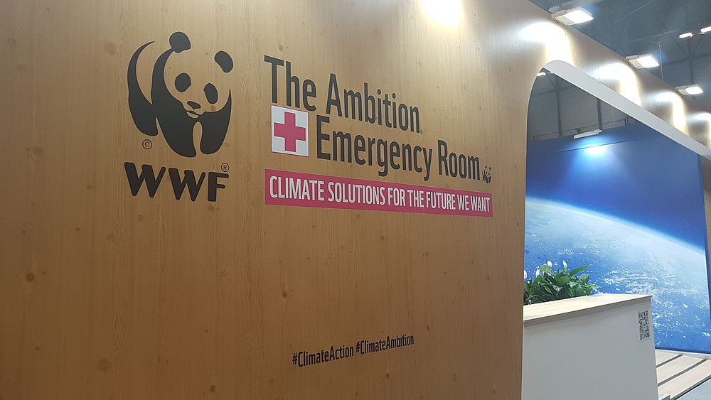Panda Hub (zona azul IFEMA durante la cumbre del clima COP23)