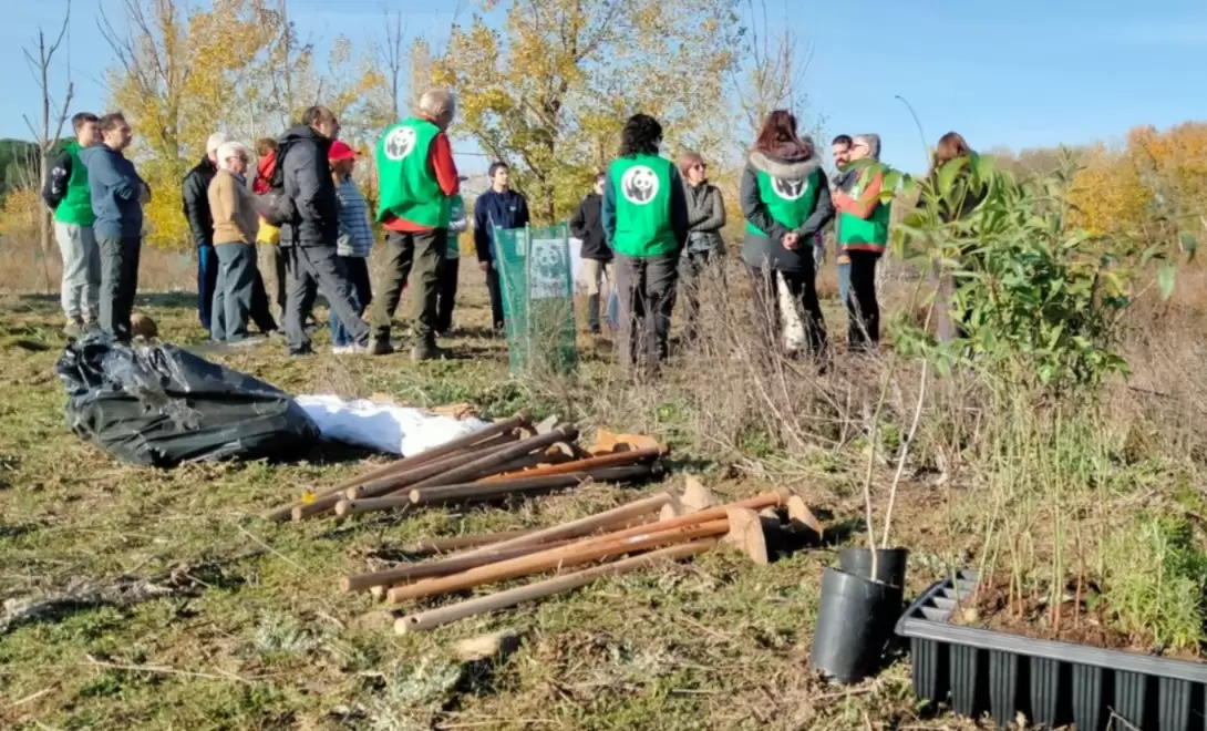 El 24 de noviembre de 2024 celebramos una exitosa 13ª edición de Plantación en Red