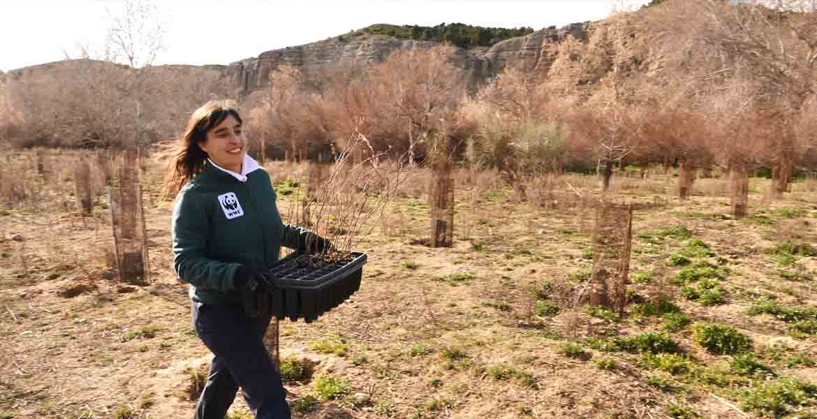 Plantación con Diana Colomina foto de Jorge Sierra WWF
