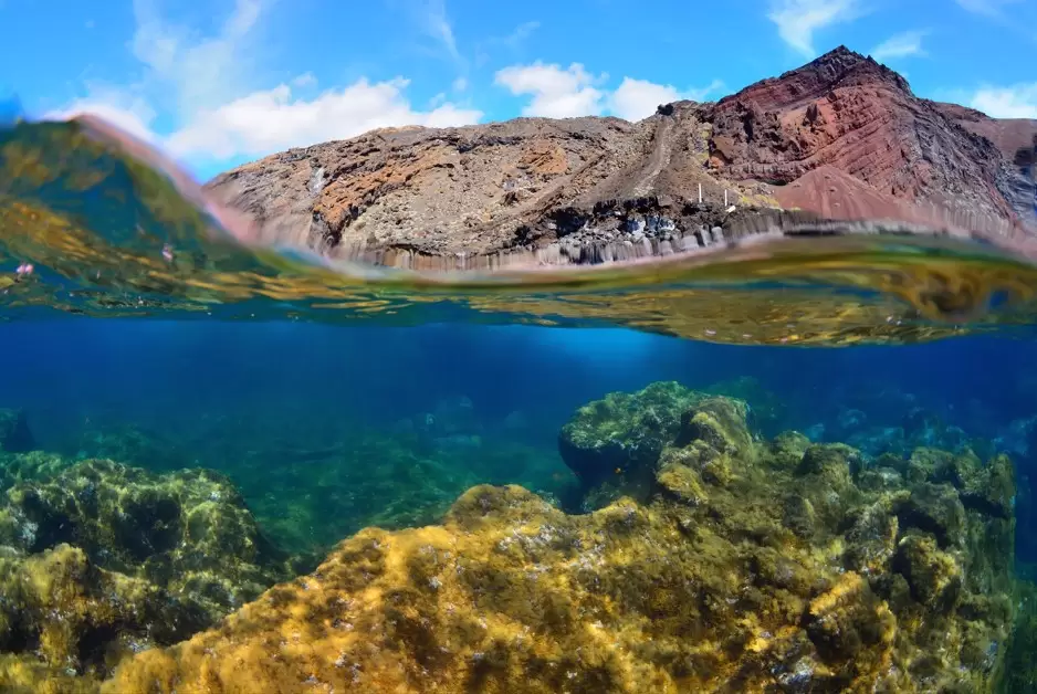 La sociedad herreña debe contar con información objetiva acerca del Parque Nacional 100 % marino