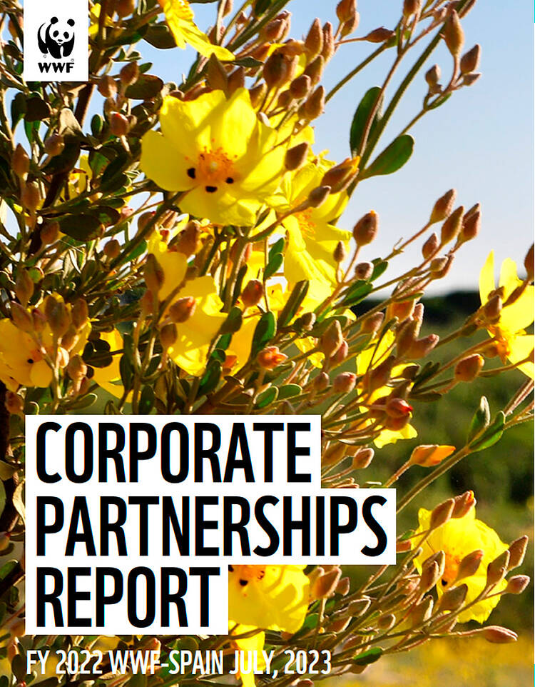 portada Corporate Partnerships FY22 Spain 