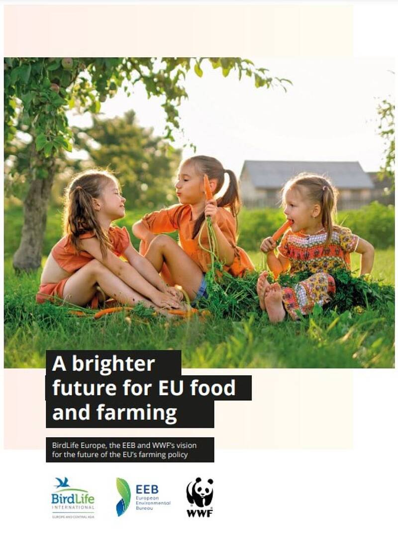 Portada Informe A brighter future for UE food and farming