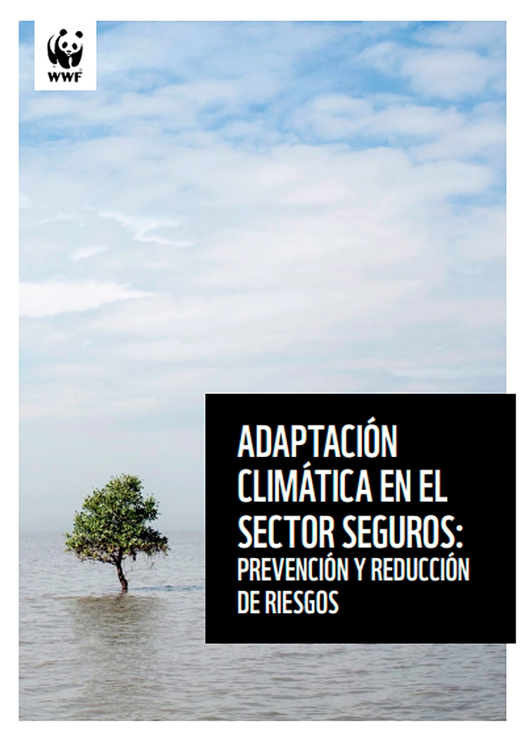 Informe: Adaptación climática en el sector seguros: prevención y reducción de riesgos