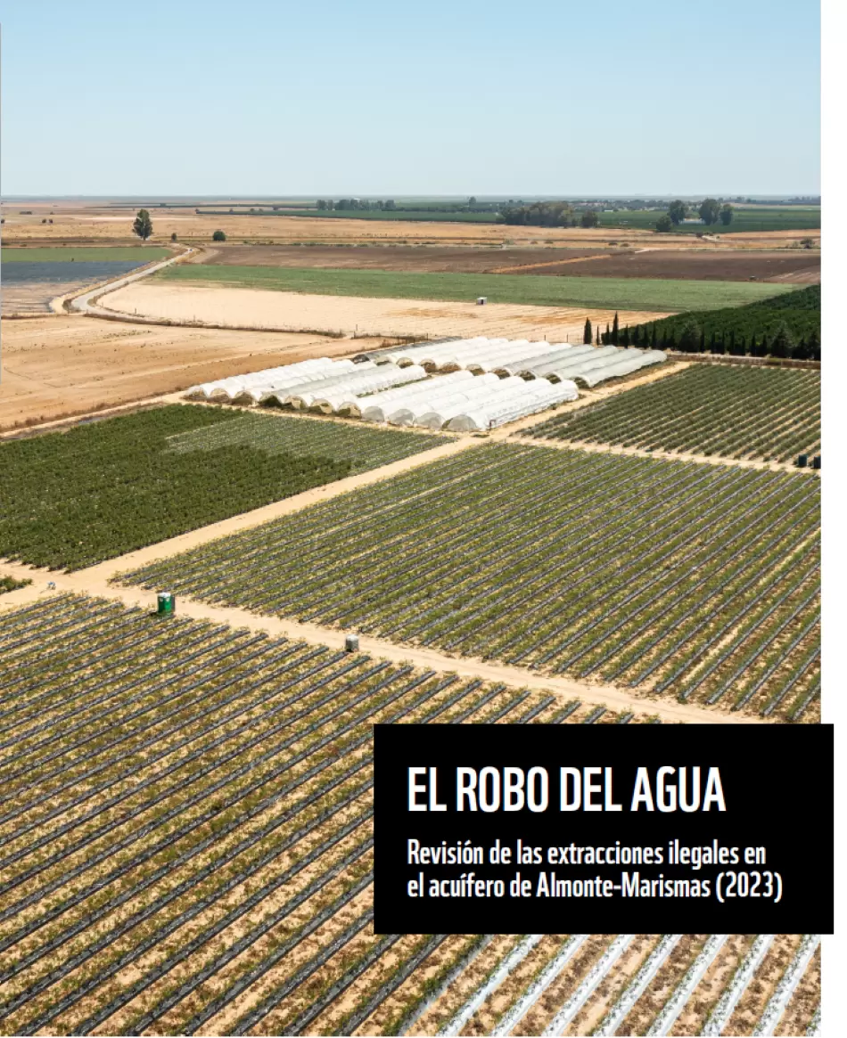 Alertamos a la Unesco y UICN del continuo declive del acuífero de Doñana y del aumento de la superficie de agricultura ilegal