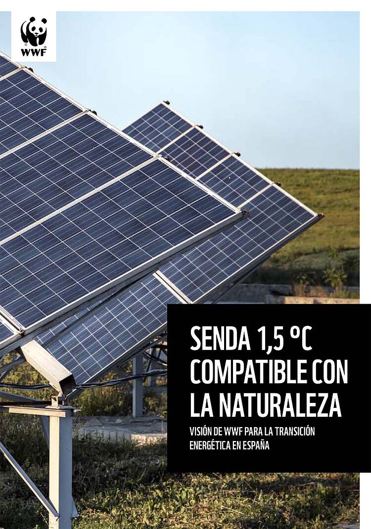 Informe: Visión de WWF para una transición energética en España 